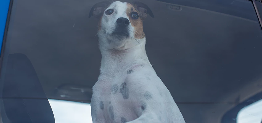 Car Lockout Solutions in Gardena, California